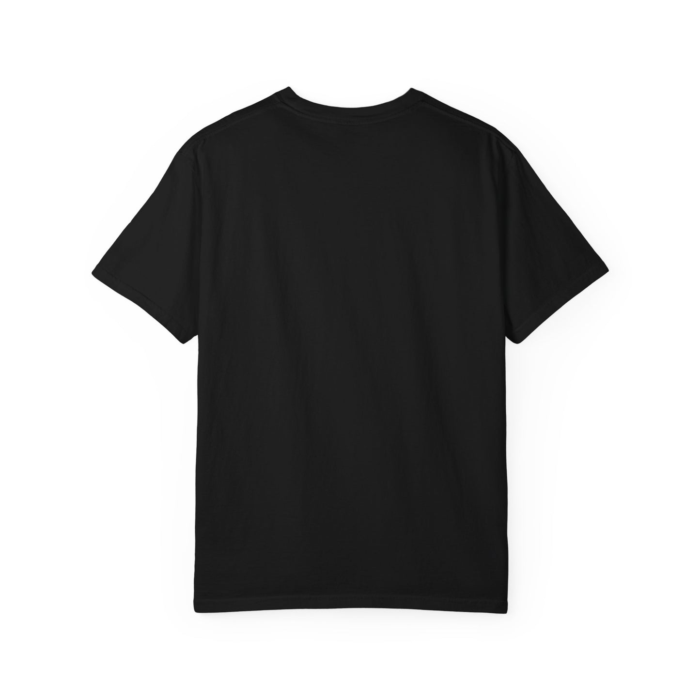 Did You Just Look At My Wiener T-Shirt